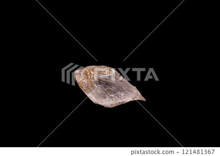 Macro stone gypsum mineral on black background 121481367