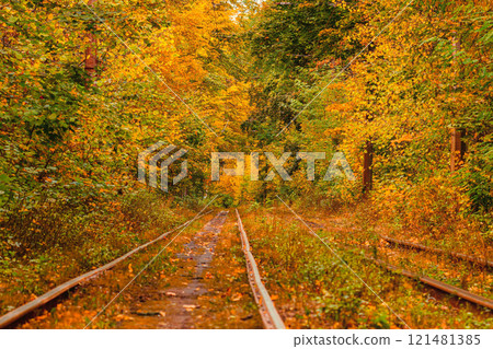 Autumn forest through which an old tram rides (Ukraine) 121481385