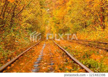 Autumn forest through which an old tram rides (Ukraine) Autumn forest through which an old tram rides (Ukraine) 121481396