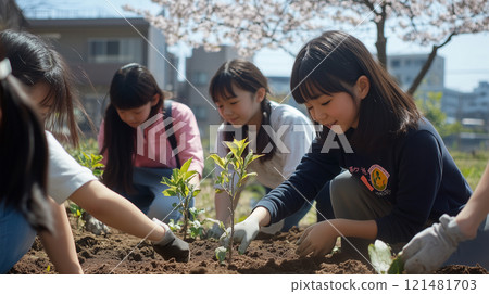In Japan, students bathe in the spring sunshine as they plant trees in a schoolyard. 121481703
