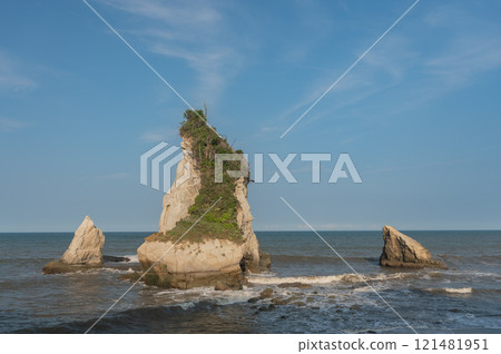 [Chiba] The Married Couple Rocks of Tsutsugaura 121481951