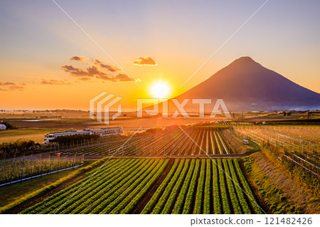 秋天的開聞岳和指宿枕崎線行駛的喜波47以及鹿兒島縣指宿市的夕陽 秋天的開聞岳和指宿枕崎線行駛的喜波47以及鹿兒島縣指宿市的夕陽 121482426
