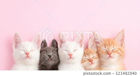 Adorable group of kittens sleeping peacefully on soft pink background. 121482840