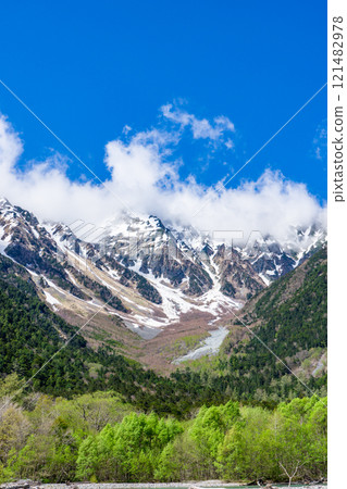 初夏的上高地自然步道、清晨的森林浴、從小西平看到的奧穗高山 121482978