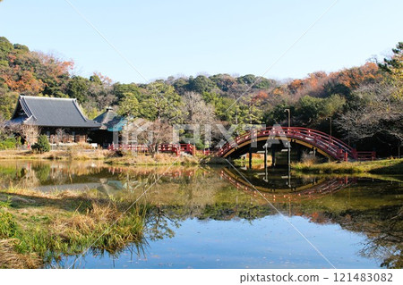 稱名寺阿治池的秋葉 太閣橋 金澤文庫 神奈川縣橫濱市 121483082