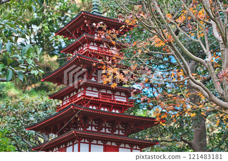 Red three-story pagoda and maple trees (winter, December) 121483181