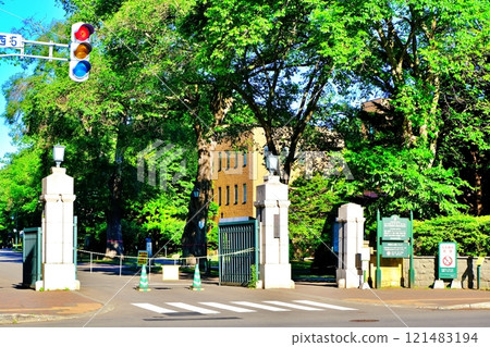 The main gate of Hokkaido University, surrounded by fresh greenery The main gate of Hokkaido University, surrounded by fresh greenery 121483194