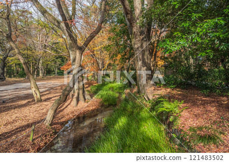下鴨神社 忠森半之小川 京都市 下鴨神社 忠森半之小川 京都市 121483502