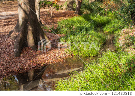 下鴨神社 忠森半之小川 京都市 下鴨神社 忠森半之小川 京都市 121483518