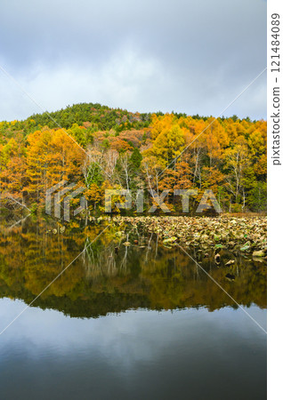 Lake Shirakaba in autumn [Hijiri Plateau] 121484089