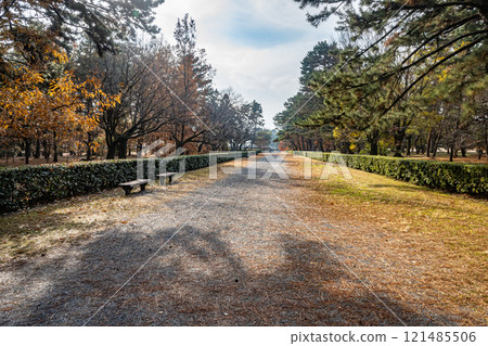 Winter in Kyoto Imperial Palace: A walking path strewn with fallen leaves 121485506