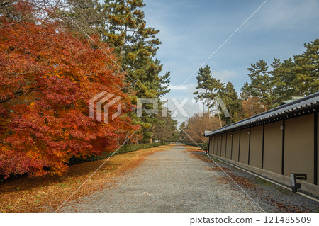 Colorful autumn leaves at Kyoto Gyoen 121485509