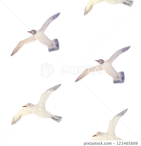 Flying sea gull seamless pattern isolated on white. High quality hand-drawn watercolor flat illustration for notebooks, scrapbooking, wrapping paper, textile, sea voyage souvenirs decor and design 121485809