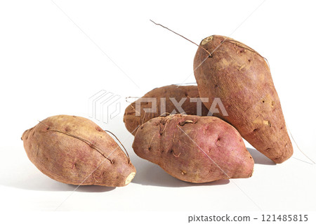 地瓜(萬聖節甜食) 地瓜(萬聖節甜食) 121485815