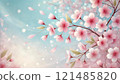 Cherry blossoms and flower petals 121485820