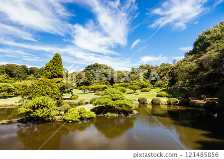 Shinjuku Gyoen National Garden in Tokyo Japan Shinjuku Gyoen National Garden in Tokyo Japan 121485856