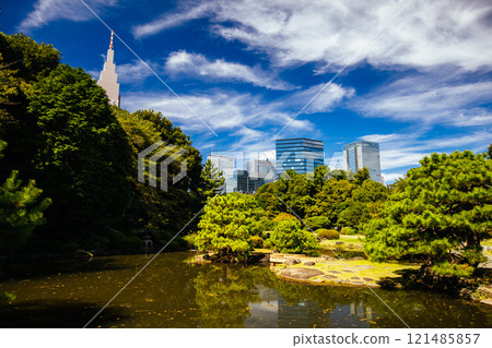 Shinjuku Gyoen National Garden in Tokyo Japan Shinjuku Gyoen National Garden in Tokyo Japan 121485857