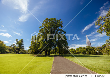 Shinjuku Gyoen National Garden in Tokyo Japan Shinjuku Gyoen National Garden in Tokyo Japan 121485869