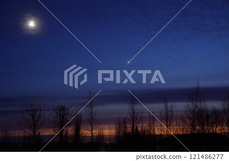 斯堪的納維亞針葉樹、神奇時刻和月亮 121486277