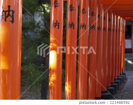 稻荷神社色彩繽紛的鳥居 121486592