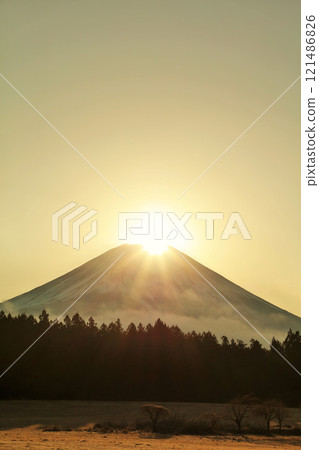 靜岡縣朝霧高原的鑽石富士 121486826