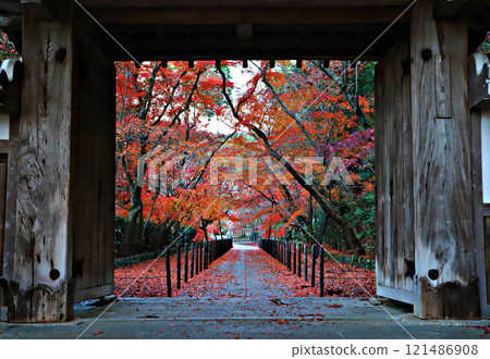 Mountain gate and autumn leaves 121486908