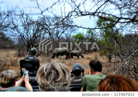 狩獵期間遇到的一群犀牛 狩獵期間遇到的一群犀牛 121487022