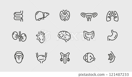 Human Organs Icons Set Human Organs Icons Set 121487233