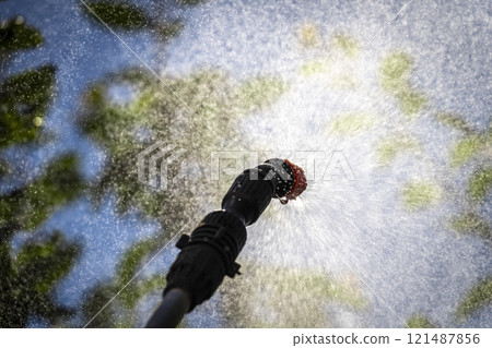 Sprinkling of trees 121487856