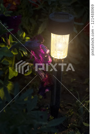 LED garden light 121488069