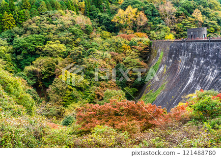 河內水庫的秋葉【福岡縣北九州市】 121488780