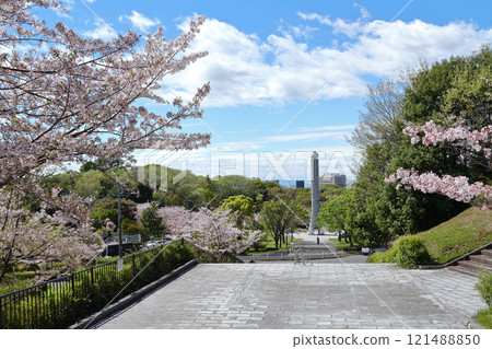 名古屋市和平公園櫻花 121488850