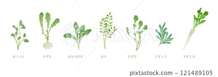 Watercolor illustration of the seven herbs of spring, Nanakusa-gayu, hand-drawn watercolor illustration 121489105