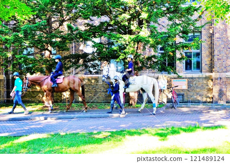 Scenery from the Hokkaido University campus 121489124