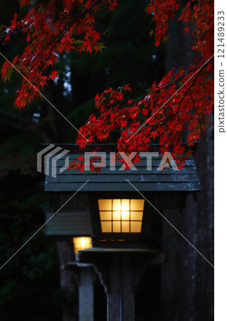 遠州森町/大國神社：紅葉美景 121489233