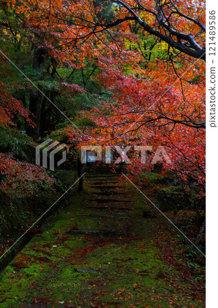 遠州森町/音院：紅葉美景 121489586