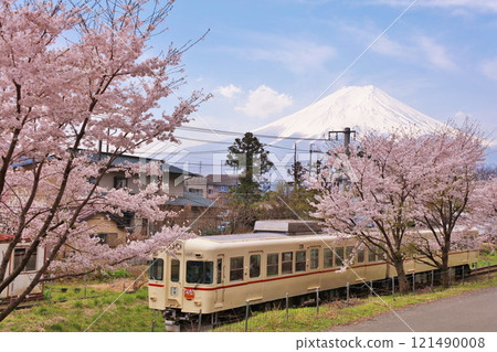 Yamanashi Prefecture Spring cherry blossom trees, Fuji Kyuko and Mt. Fuji 121490008