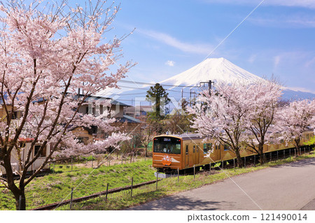 Yamanashi Prefecture Spring cherry blossom trees, Fuji Kyuko and Mt. Fuji Yamanashi Prefecture Spring cherry blossom trees, Fuji Kyuko and Mt. Fuji 121490014
