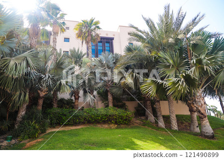 Country house courtyard with green lawn and lush palm trees Country house courtyard with green lawn and lush palm trees 121490899