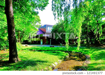 Scenery around Hokkaido University's Centennial Memorial Hall 121491377