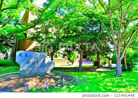 北海道大學校園風景 121491446