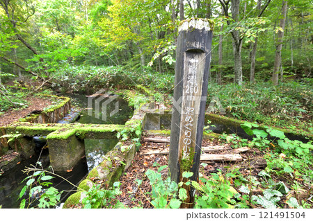 Aomori Prefecture, Tsuta Onsen, Swamp Trail 121491504