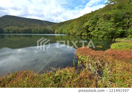 Aomori Prefecture, Tsuta Onsen, Tsuta Numa, Swamp Tour Path Aomori Prefecture, Tsuta Onsen, Tsuta Numa, Swamp Tour Path 121491507