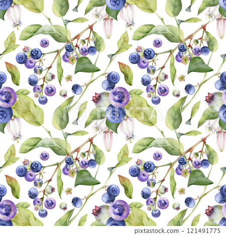 Blackberry blueberry, white bell flowers, green leaves, hand drawn in watercolor, forest berry on branches. Seamless pattern isolated illustration for restaurant, cafe menu, wedding, farmers market. 121491775