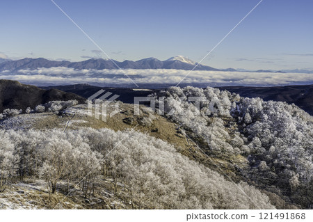 The frost-covered trees and Mt. Asama sparkling in the morning sun from the Kirigamine Plateau in the harsh winter 121491868