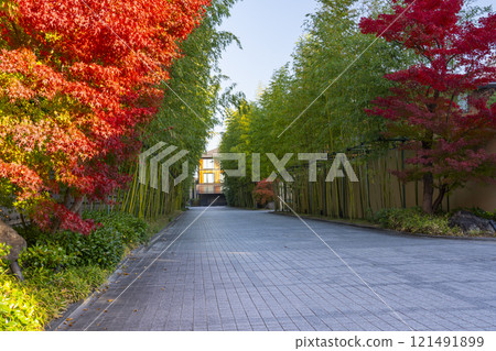 京都、鮮紅的楓樹和豐國廟的參道(恩名坂) 京都、鮮紅的楓樹和豐國廟的參道(恩名坂) 121491899
