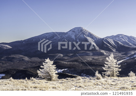 The frost-covered trees and Mt. Tateshina sparkling in the morning sun from the Kirigamine Plateau in the depths of winter 121491935