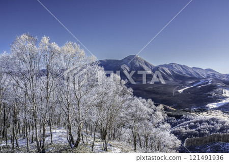 The frost-covered trees and Mt. Tateshina sparkling in the morning sun from the Kirigamine Plateau in the depths of winter The frost-covered trees and Mt. Tateshina sparkling in the morning sun from the Kirigamine Plateau in the depths of winter 121491936