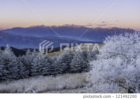 Morning glow painting the Central Alps pink from Kirigamine Plateau at dawn 121492200