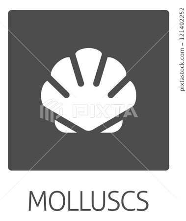 Seashell Shell Clam Mollusc Seafood Food Icon 121492252